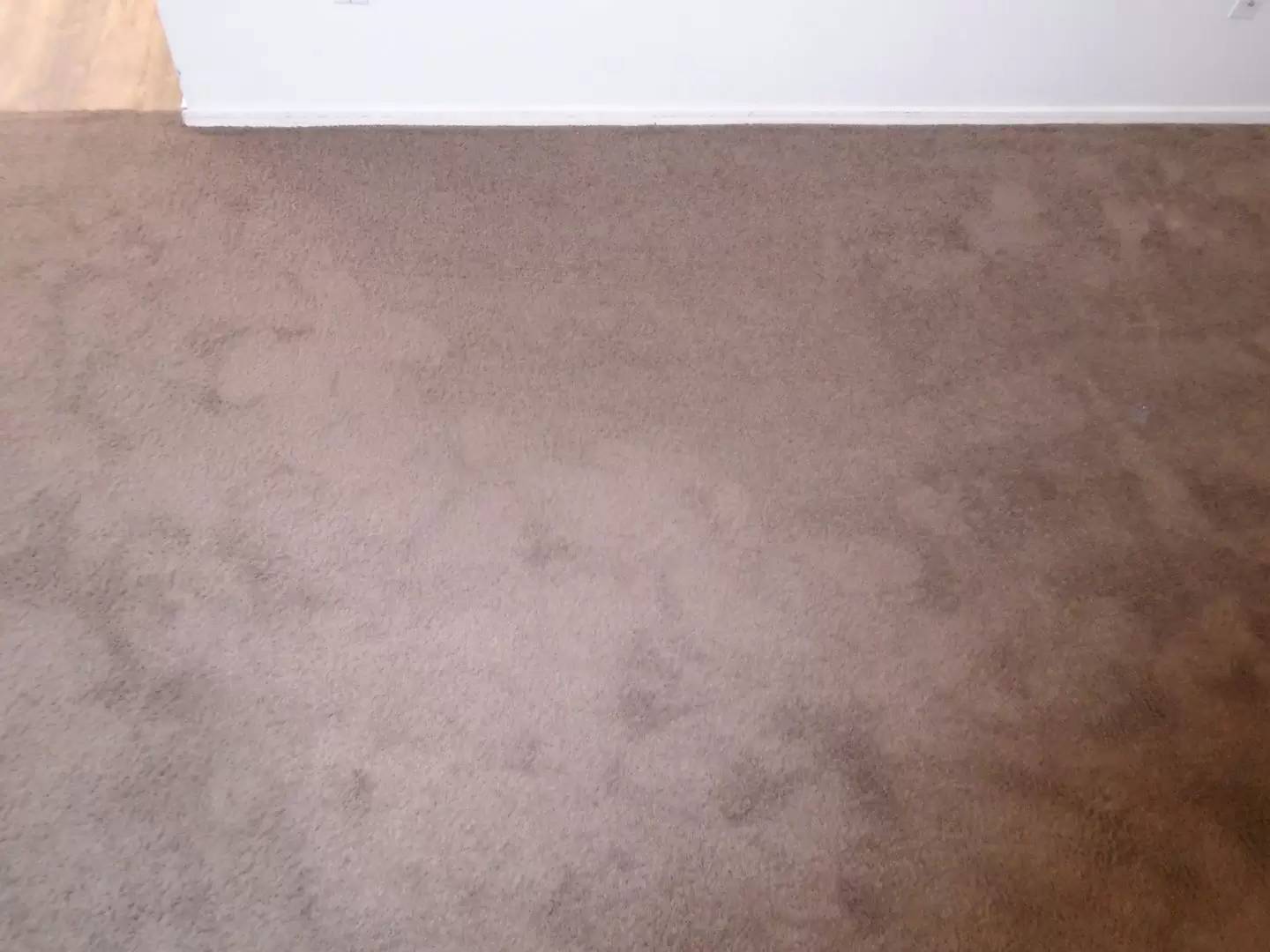 Property Image 150
