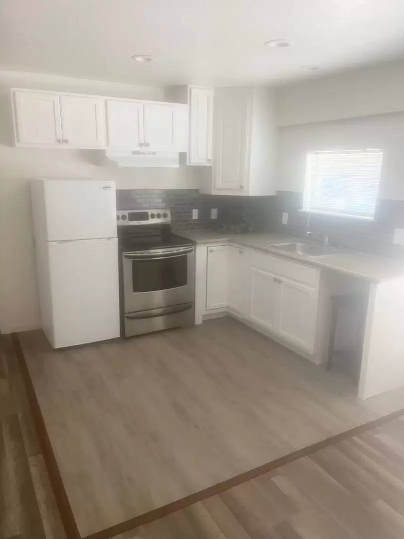 cover background