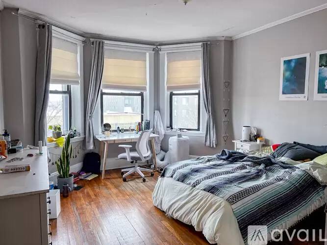Property Image 13