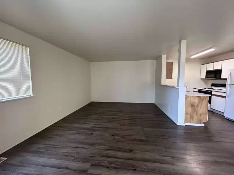 cover background