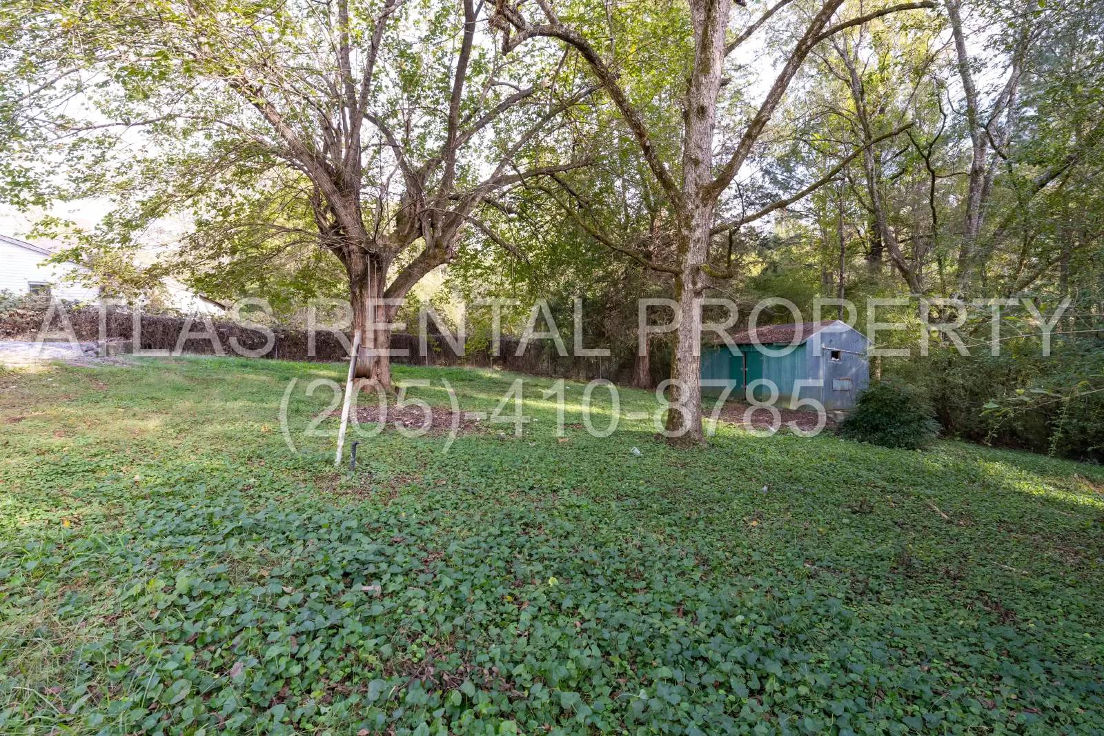 Property Image 6