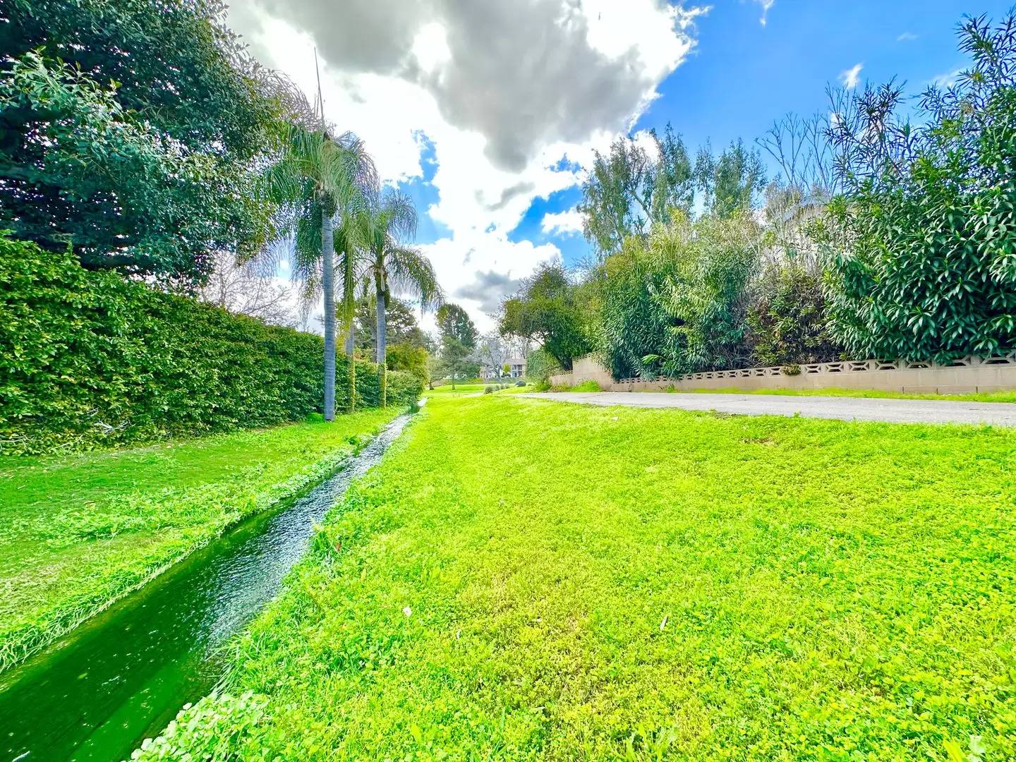 Property Image 58