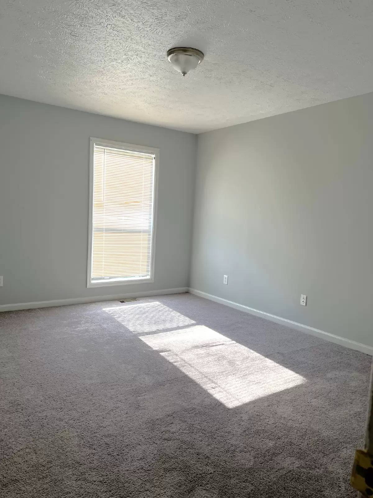 Property Image 68
