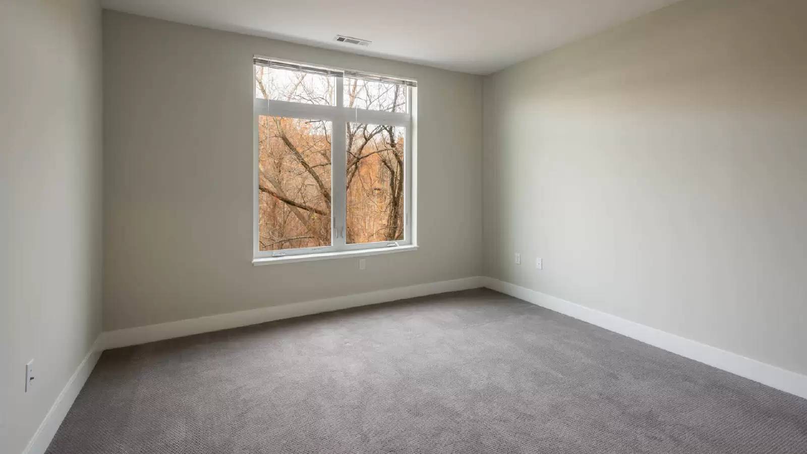 Property Image 68