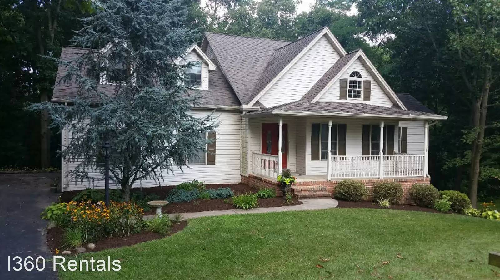 cover background
