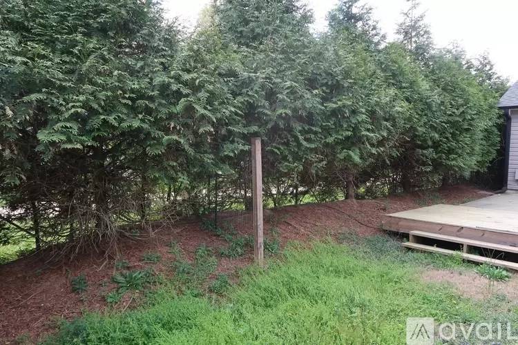 Property Image 60