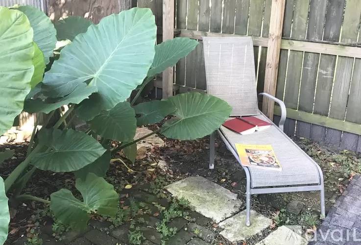 Property Image 25