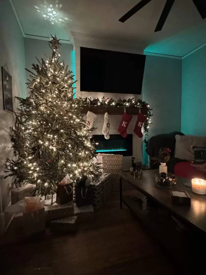Property Image 43