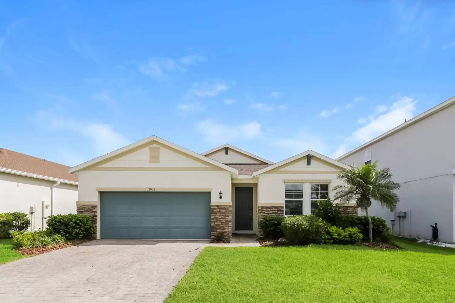 cover background