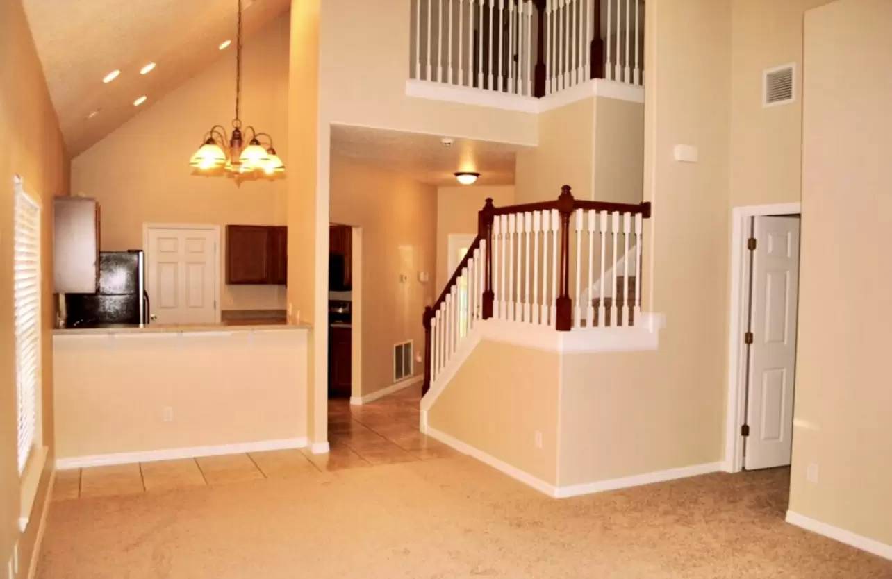 cover background