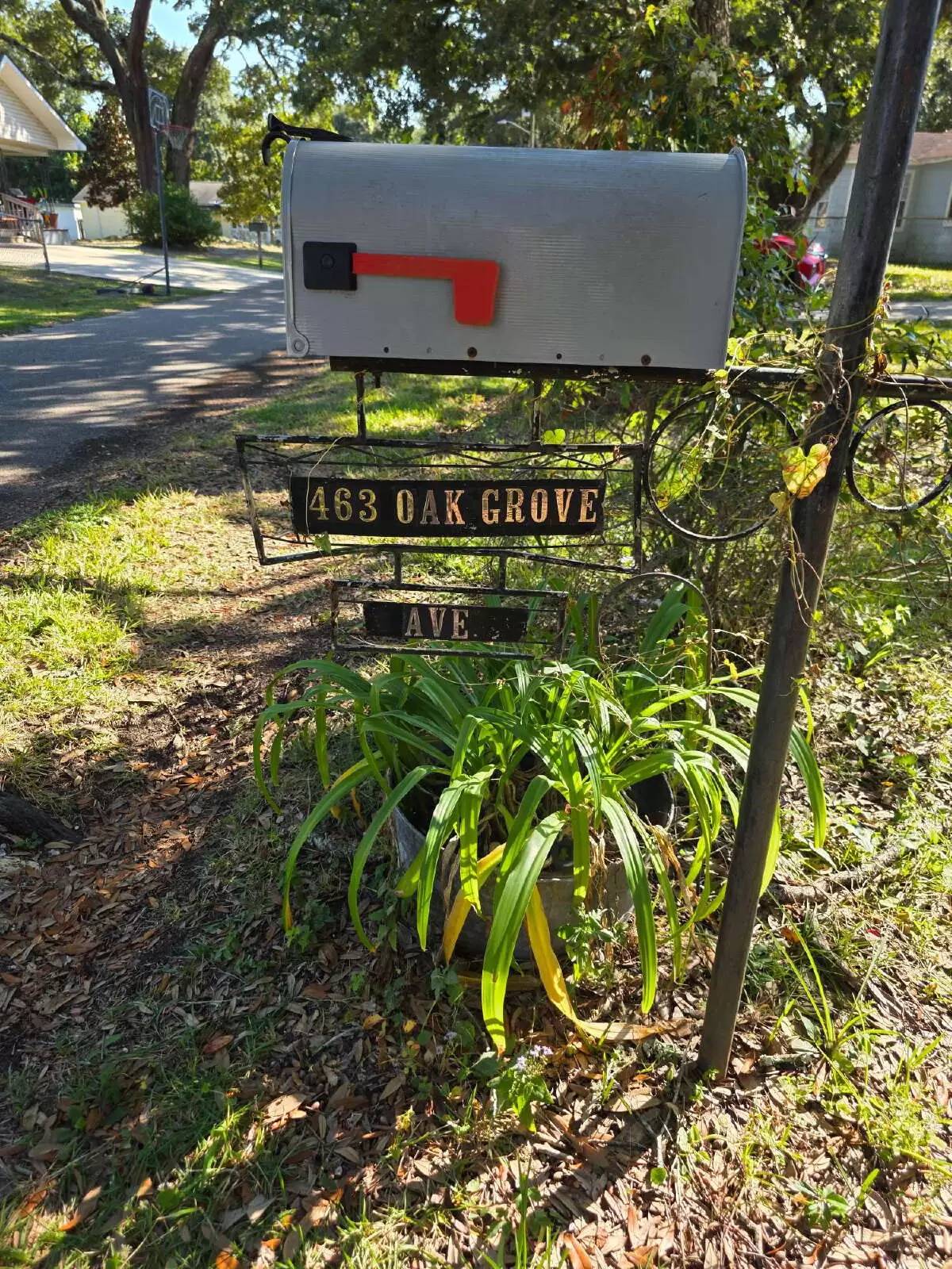 Property Image 4