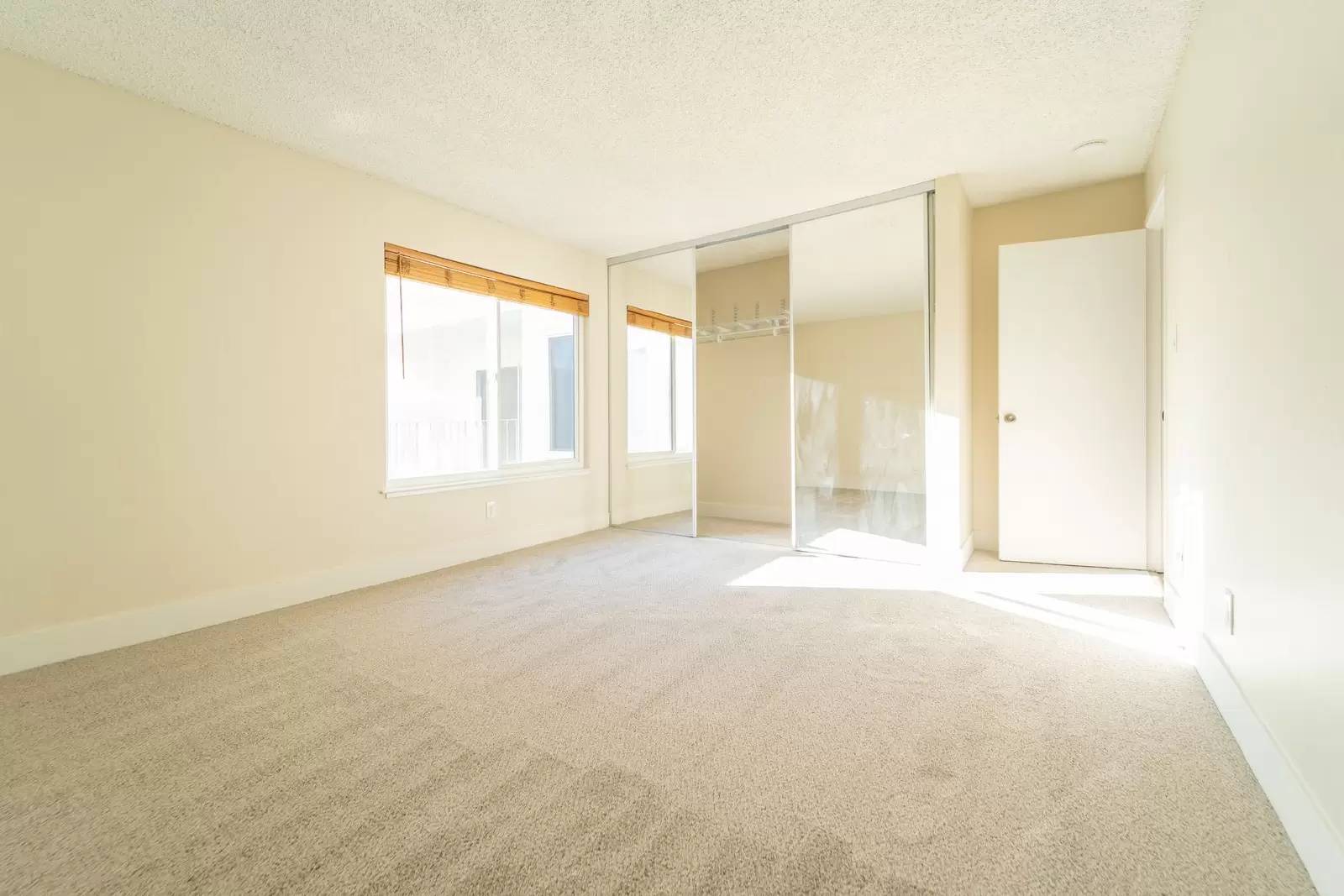 cover background