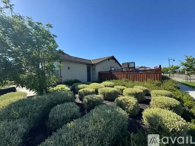 cover background