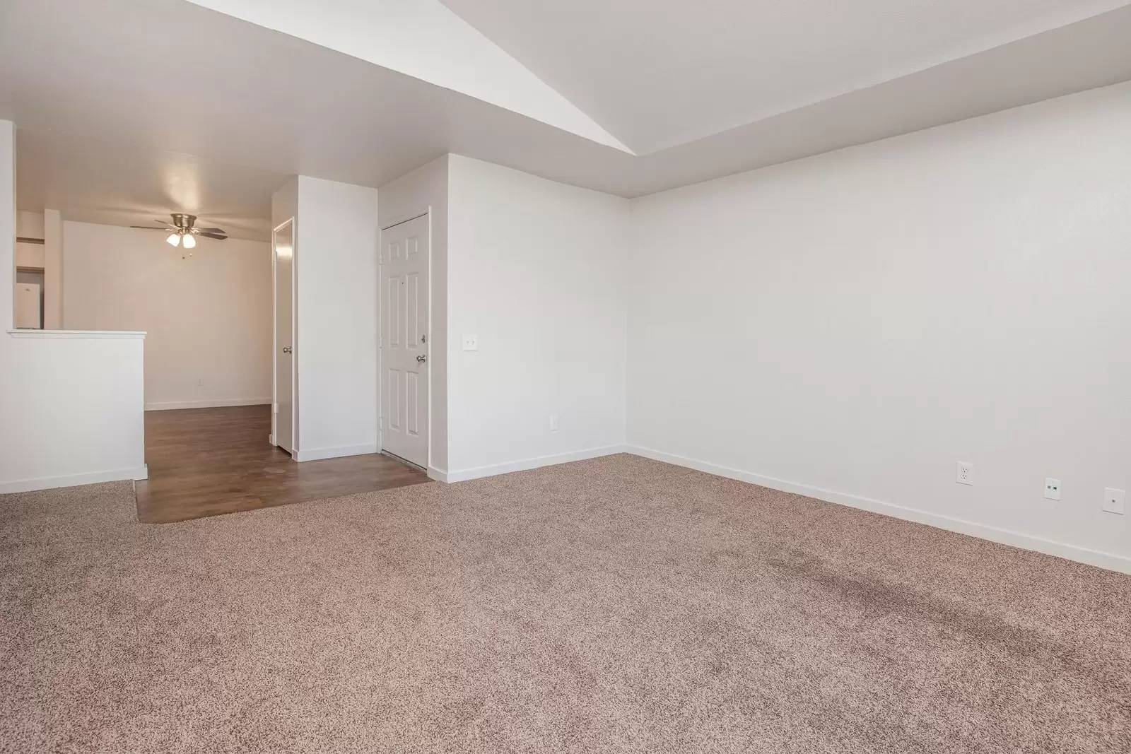 cover background