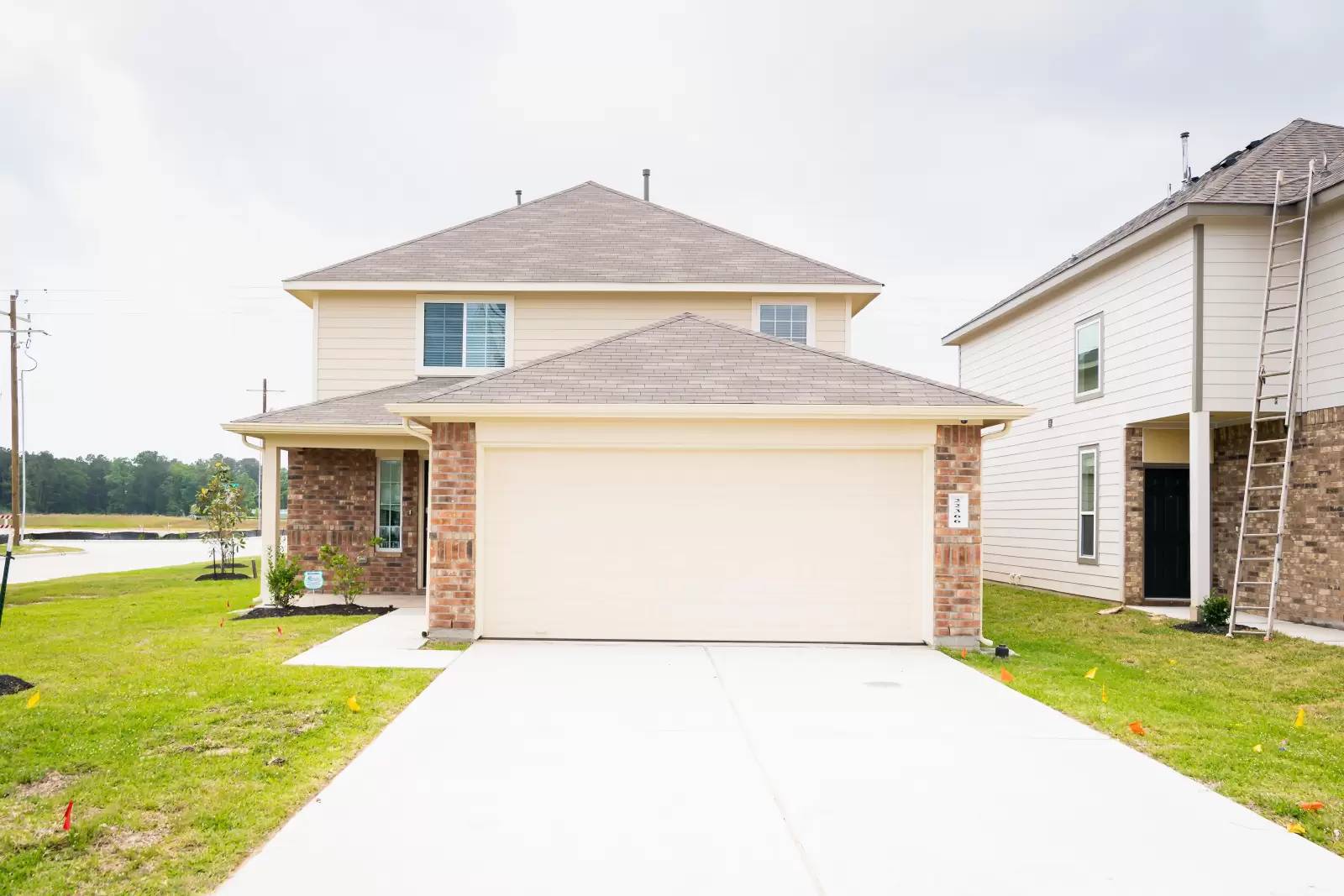 cover background