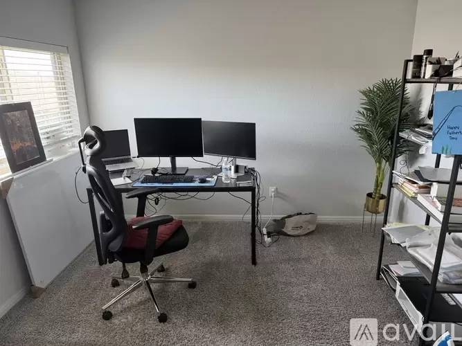 Property Image 16