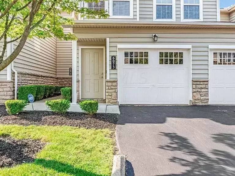 cover background