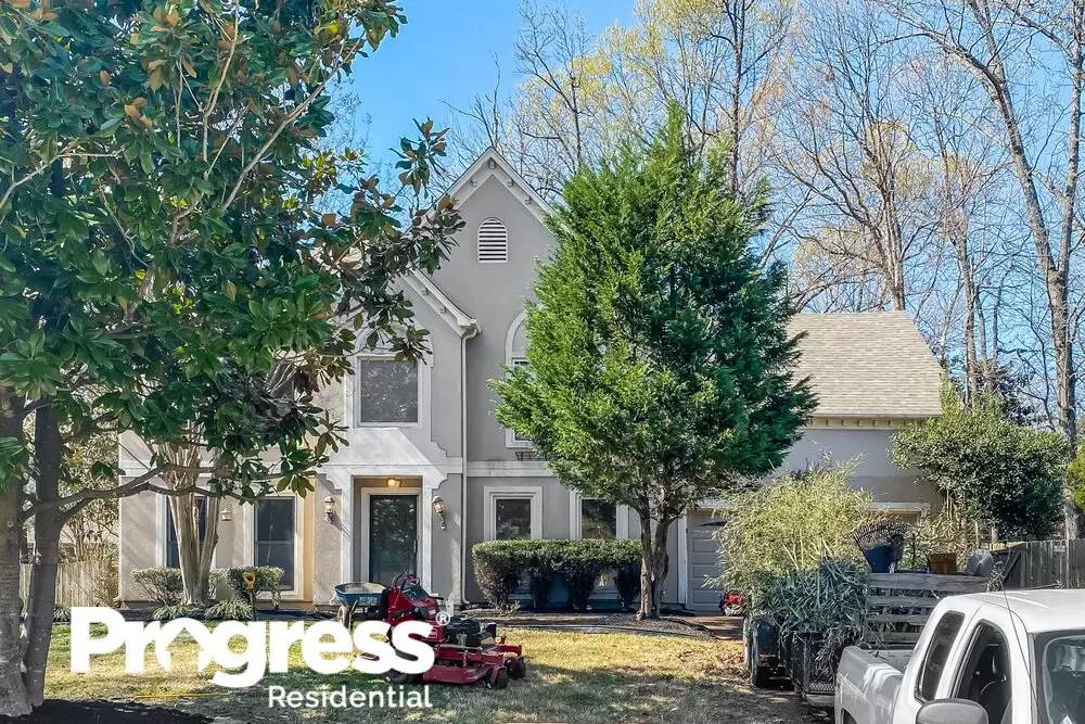 cover background
