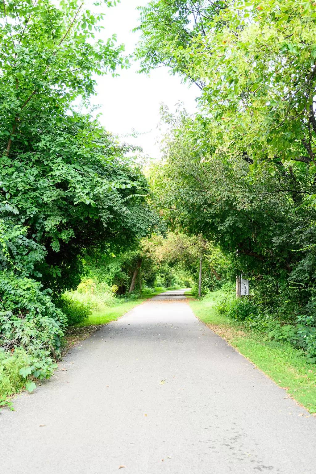 Property Image 117