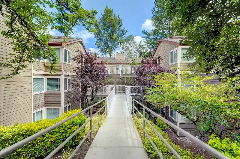 cover background