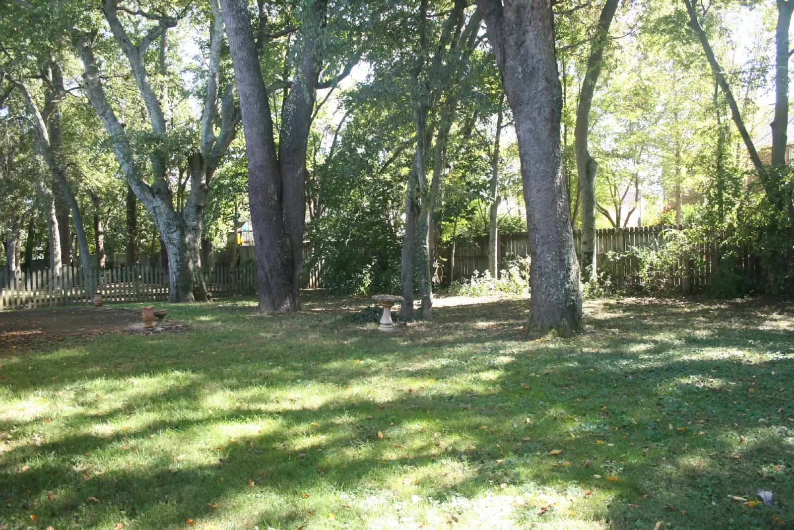 Property Image 46