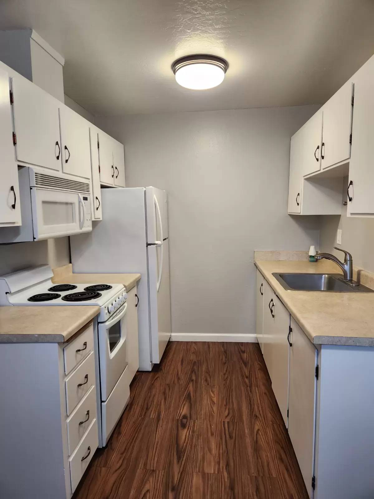 cover background