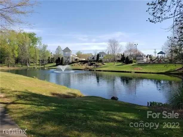 cover background