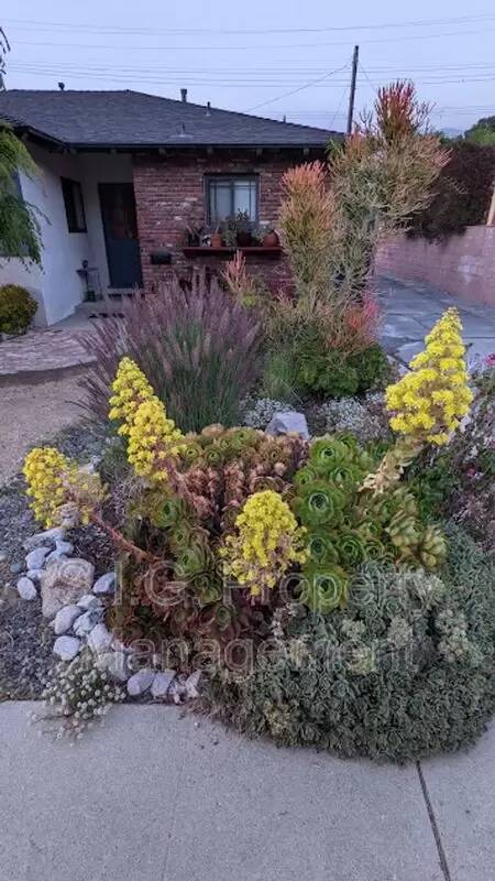Property Image 67