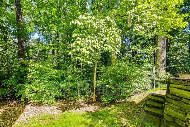 Property Image 55