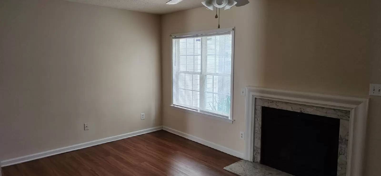 cover background