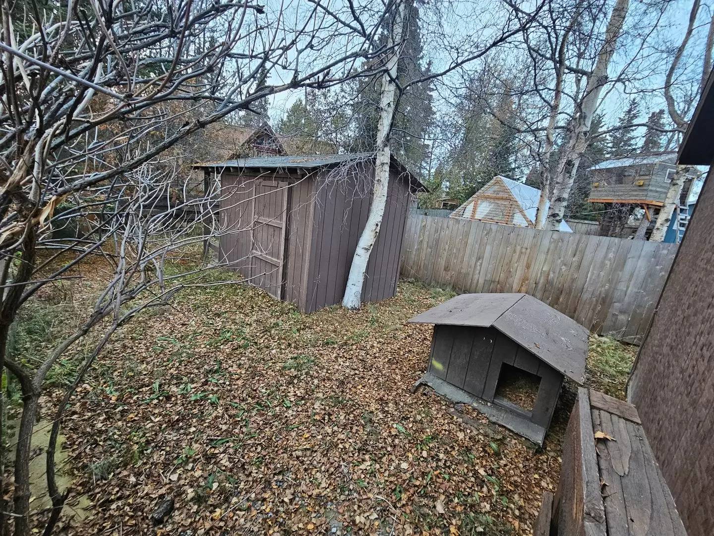 Property Image 14