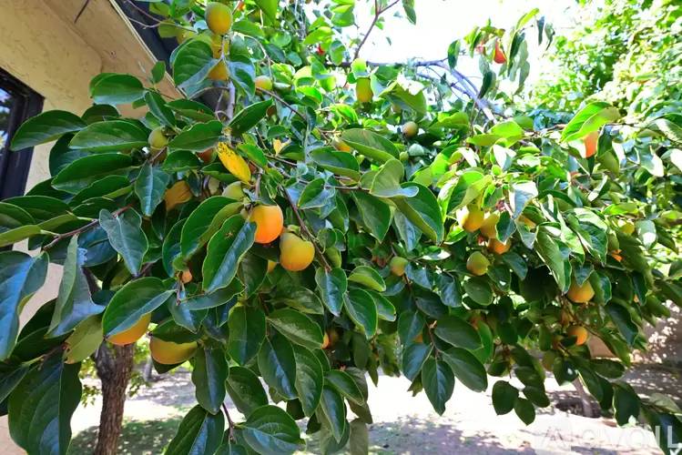 Property Image 70