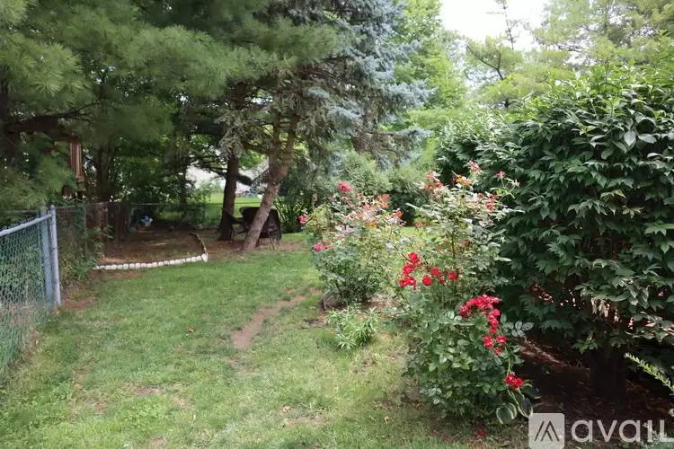 Property Image 33