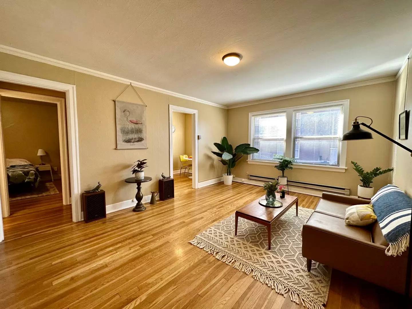cover background