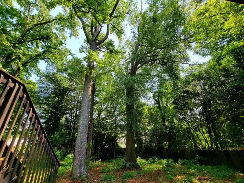 Property Image 57