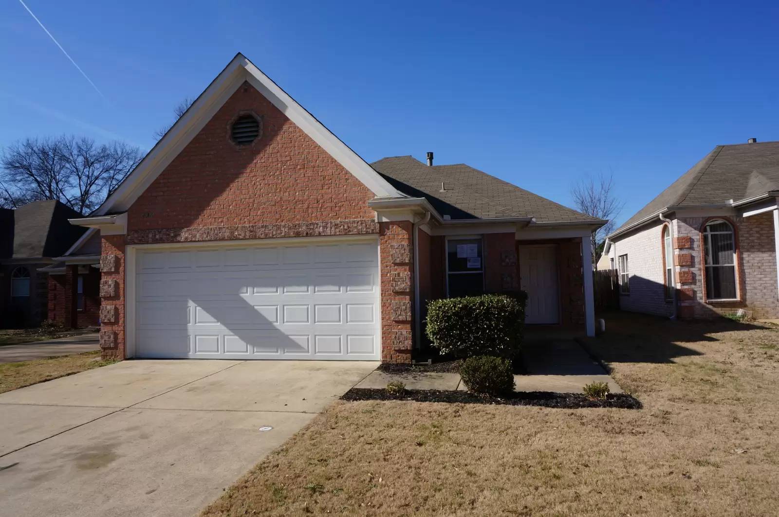 cover background