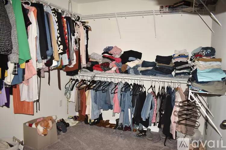 Property Image 63