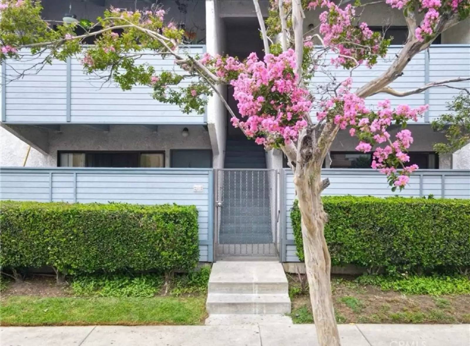 cover background