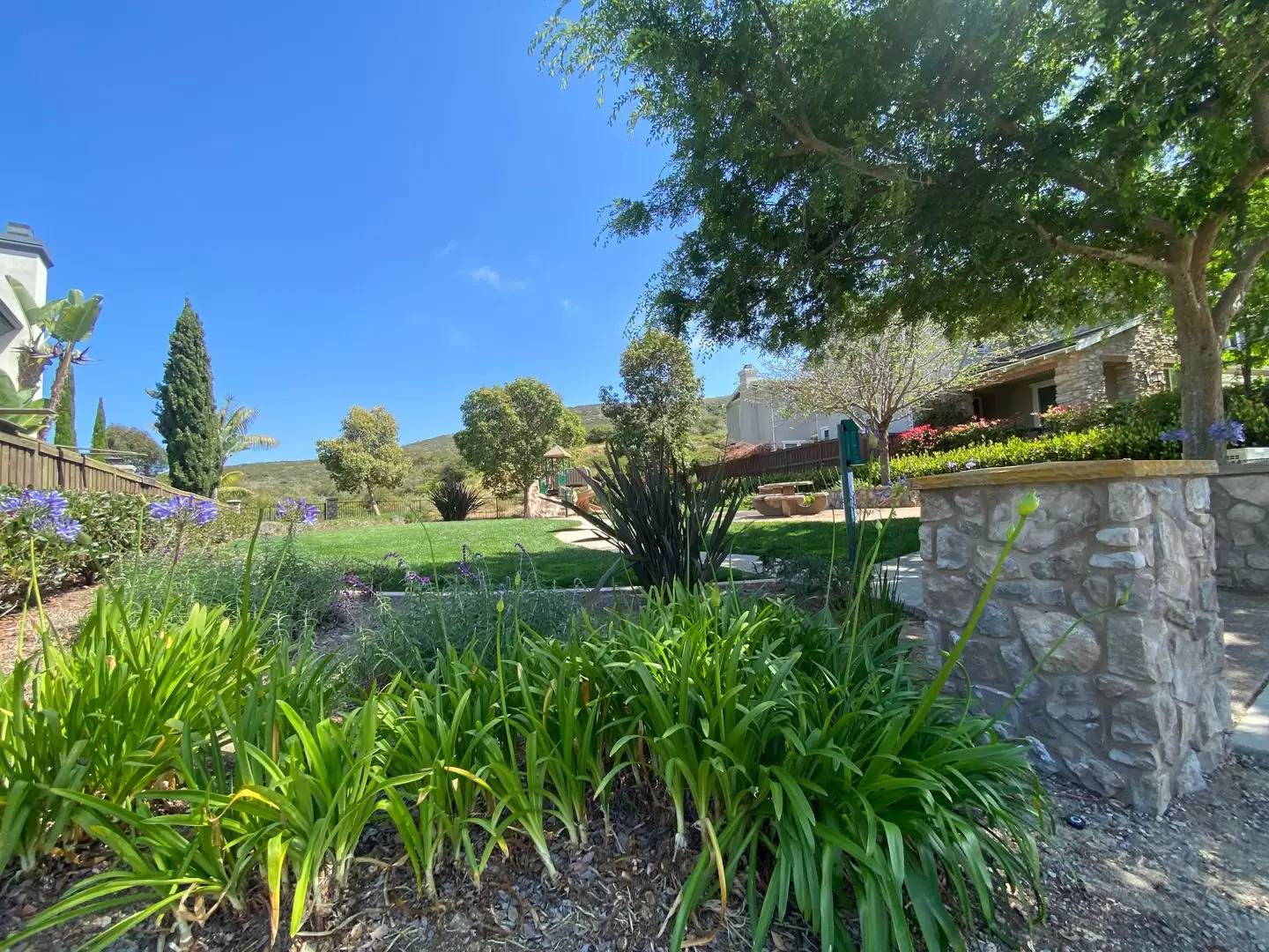 Property Image 59