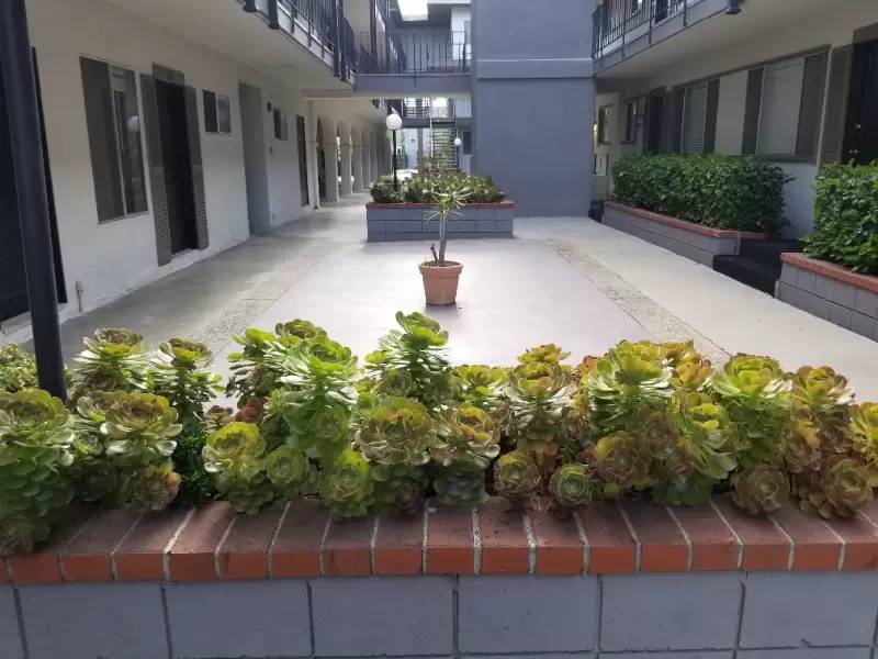 Property Image 20