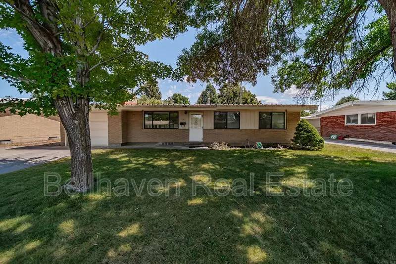 cover background