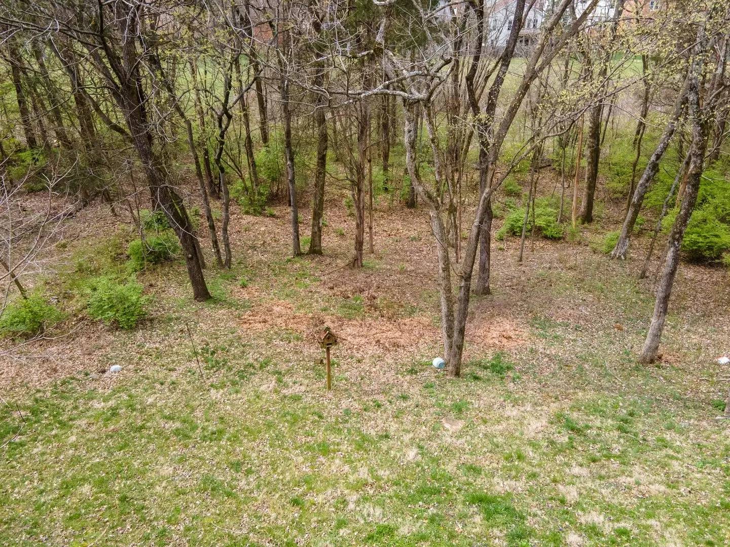 Property Image 49