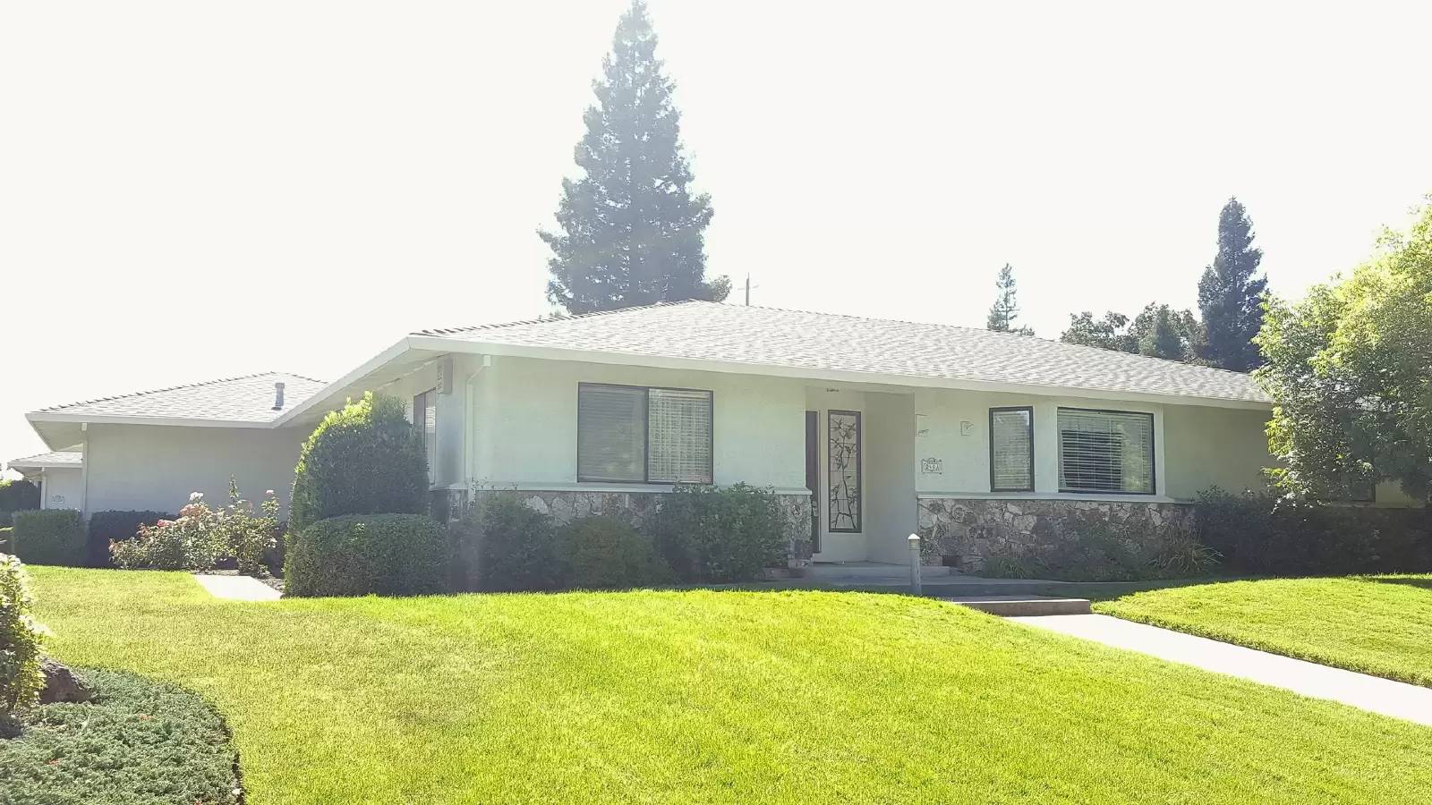 cover background