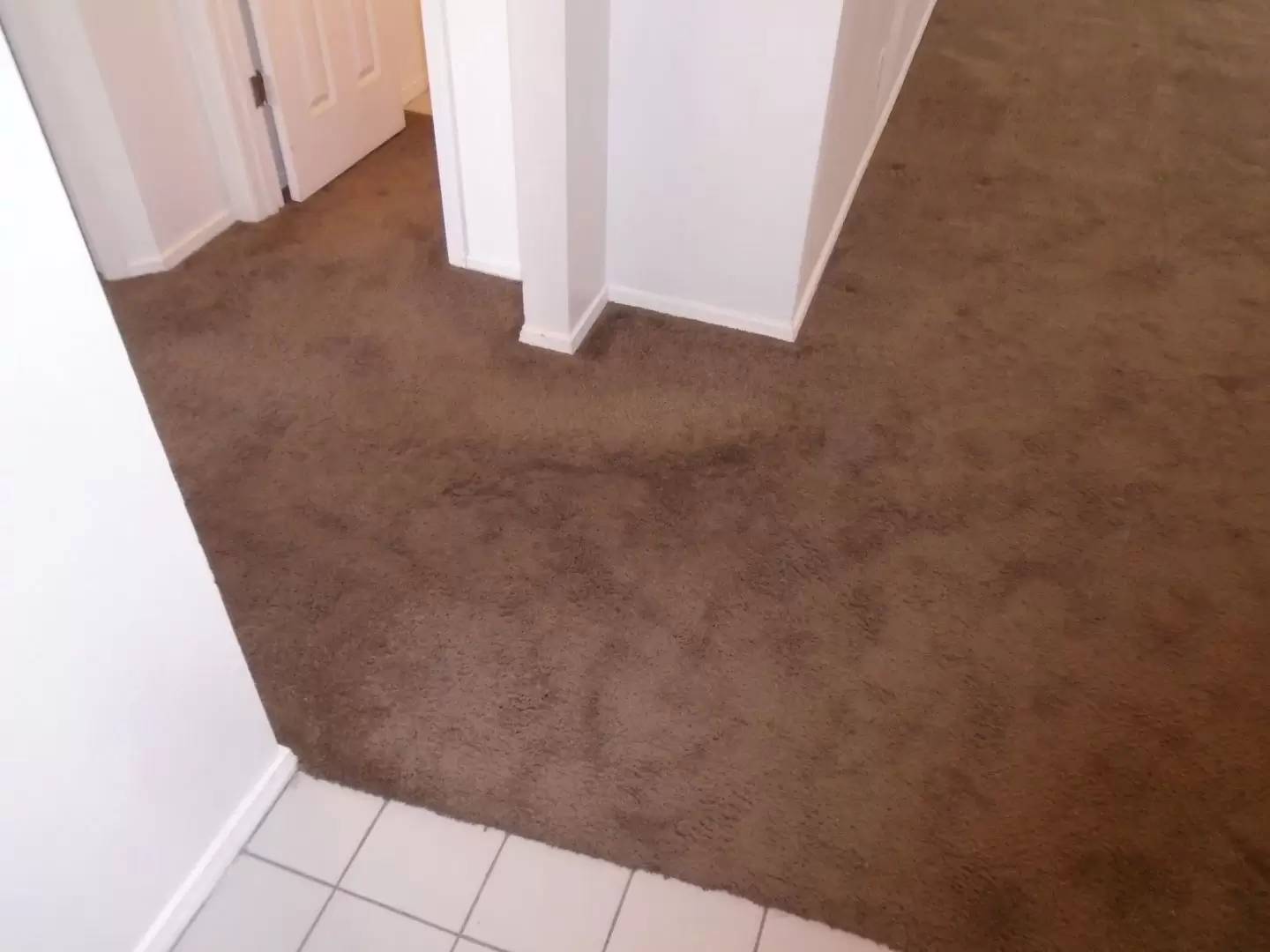 Property Image 157