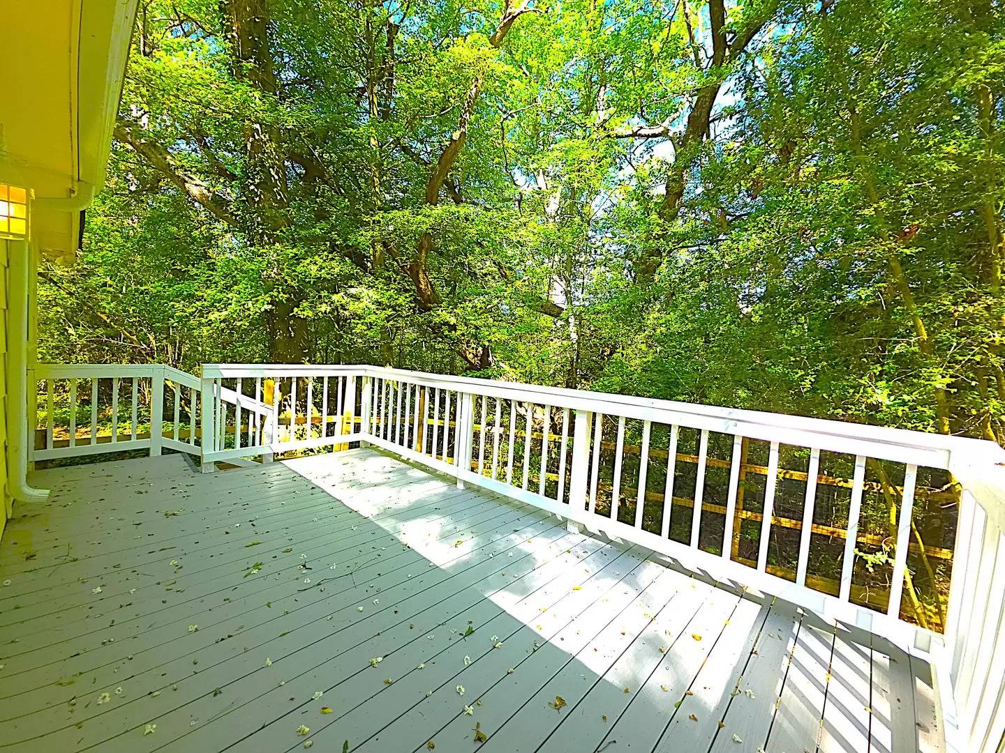 Property Image 58