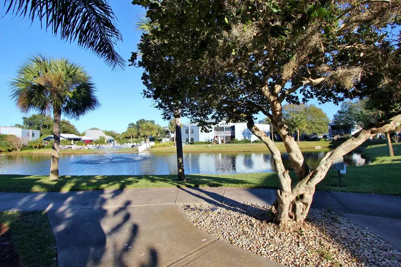 Property Image 83