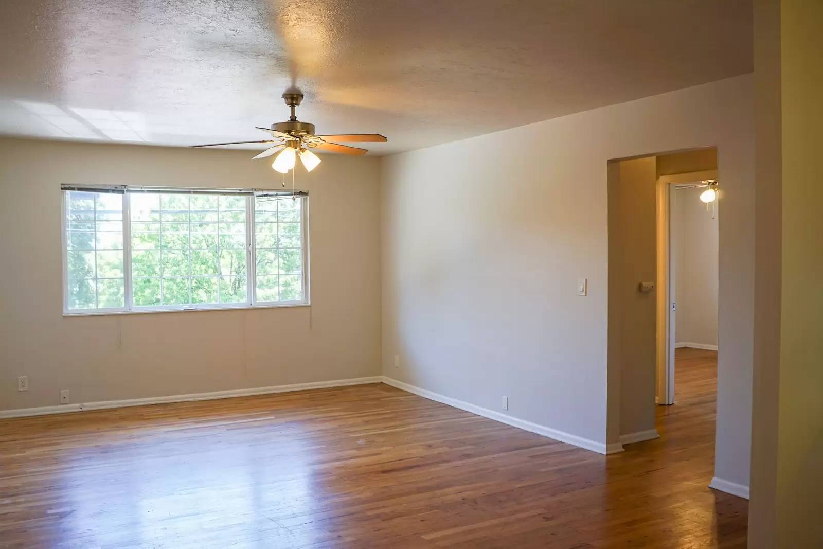cover background
