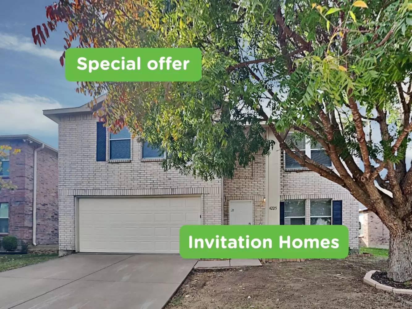 cover background