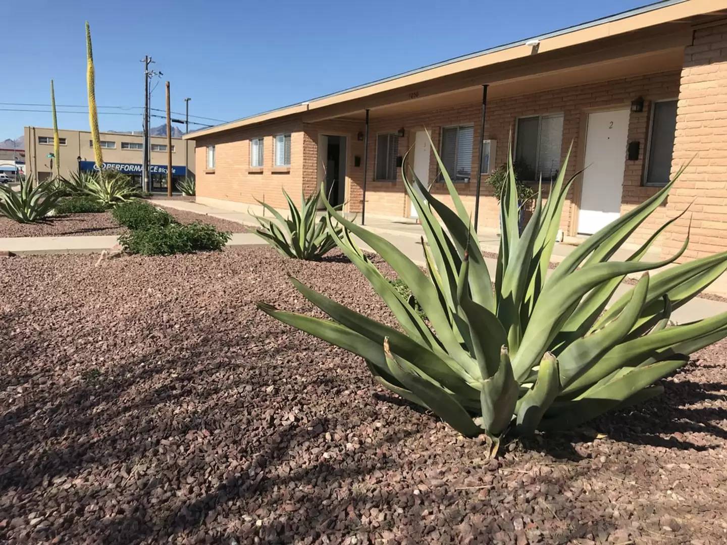 Property Image 10