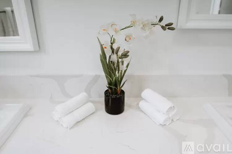 Property Image 117